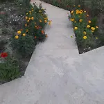 Rey Garden 2