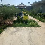 Rey Garden 2 3* Vlorë