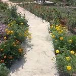 Rey Garden 2 3*