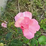 Affittacamere Rey Garden 2 Vlorë