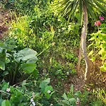 Rey Garden 2 Vlorë