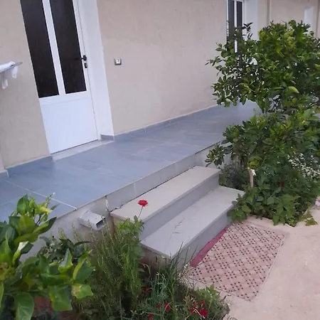 Rey Garden 2