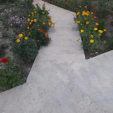 Rey Garden 2