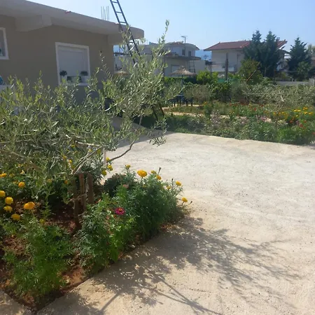 게스트하우스 Rey Garden 2 Vlorë