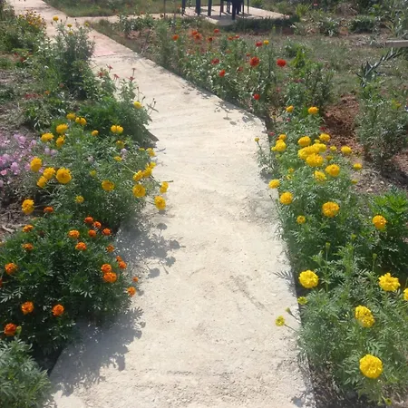 Rey Garden 2 *