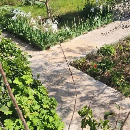 Gæstehus Rey Garden 2 Vlorë