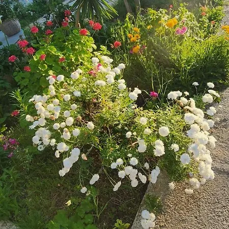Rey Garden 2 Gæstehus Vlorë