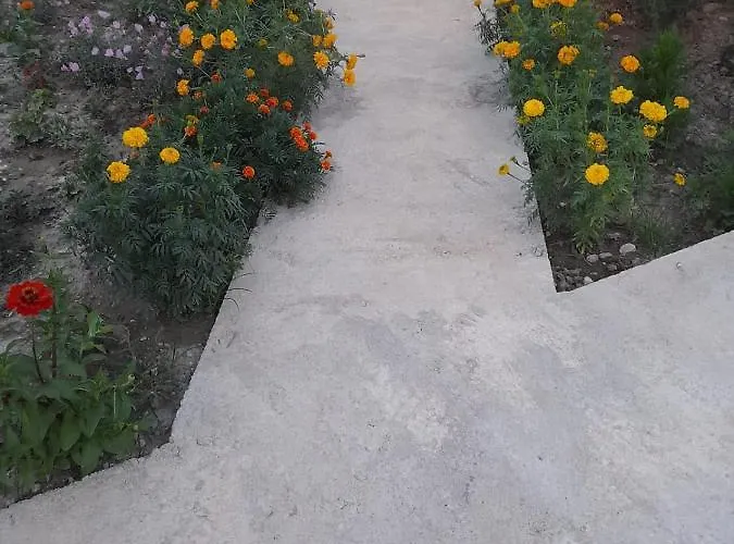 Rey Garden 2