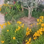 Guest house Rey Garden 2