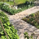 Guest house Rey Garden 2 Vlore