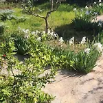Rey Garden 2 Guest house Vlore