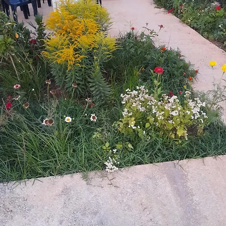 Konukevi Rey Garden 2