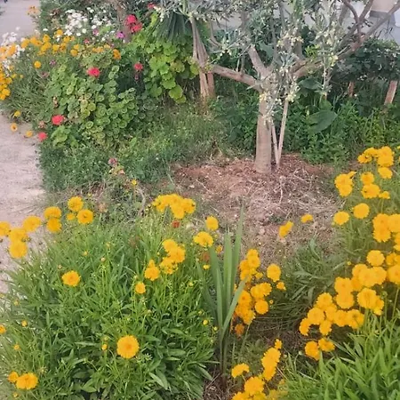 招待所 Rey Garden 2