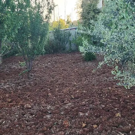 Rey Garden 2 Affittacamere