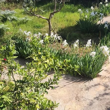Rey Garden 2 招待所 Vlorë