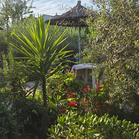 Affittacamere Rey Garden 2 Vlorë