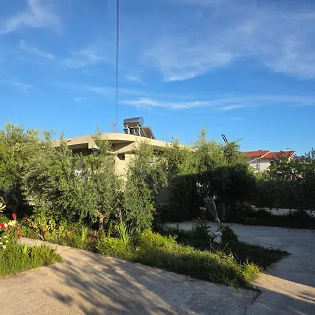 Rey Garden 2