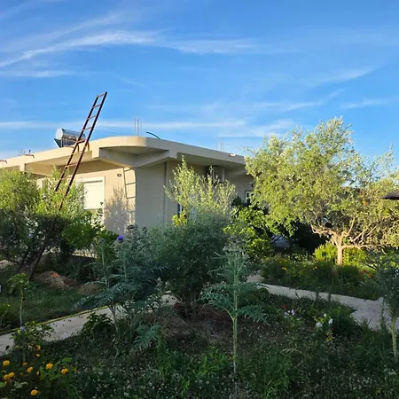 Rey Garden 2 Affittacamere Vlorë