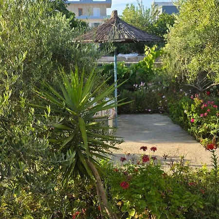 Rey Garden 2