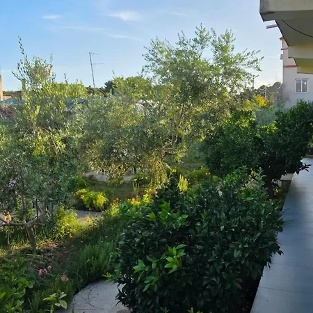 Rey Garden 2 3* Vlorë